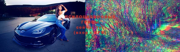 гашик Медногорск