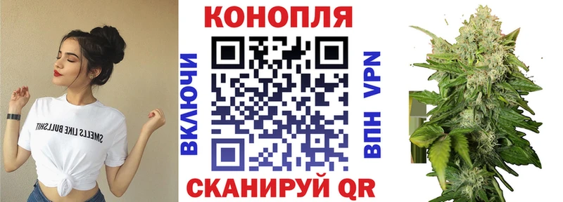 Канабис конопля Тихорецк